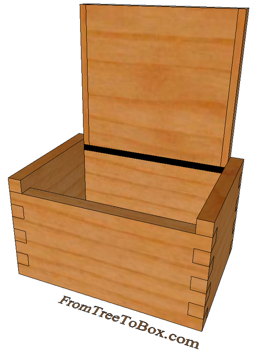Salt Cellar in wood - treetobox