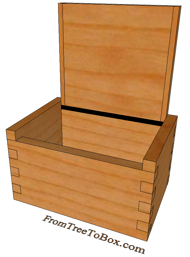 Salt Cellar in wood - treetobox