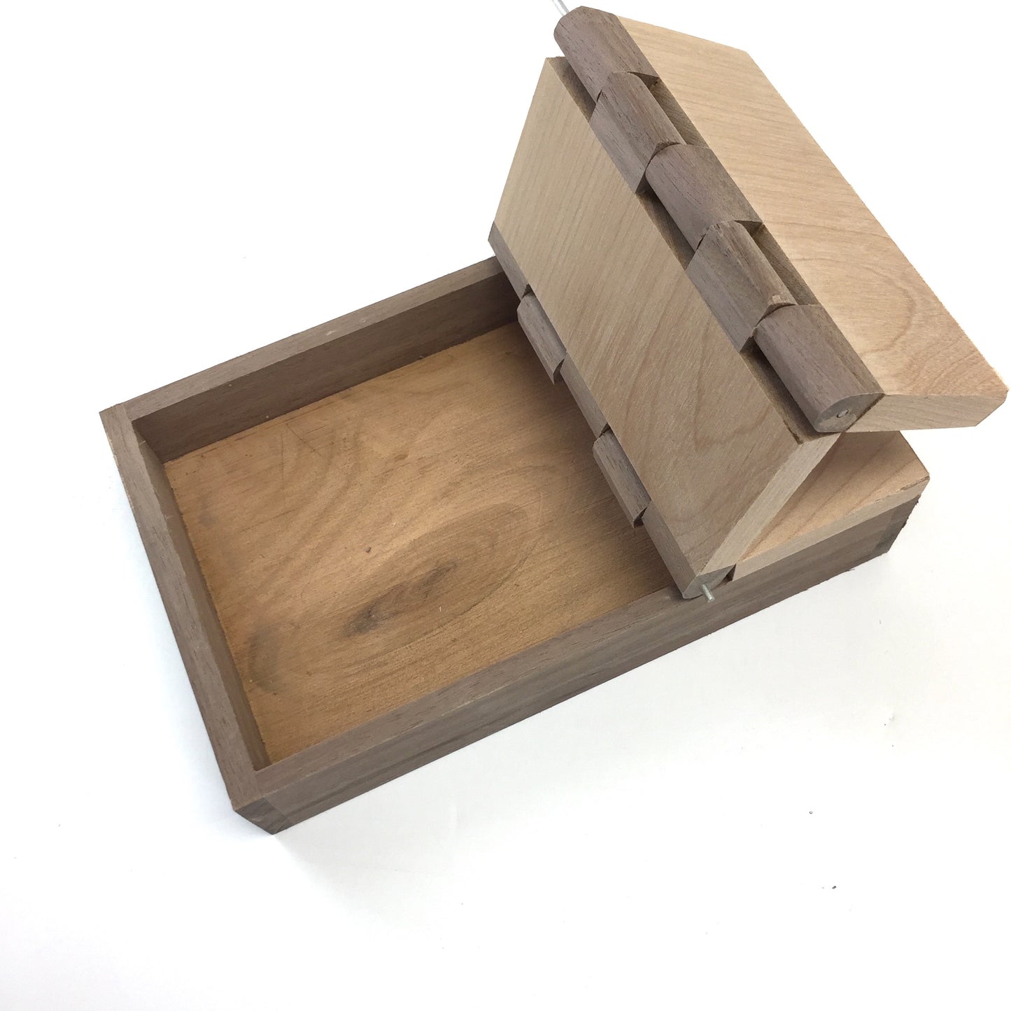 Multiple hinged wooden box - TreeToBox