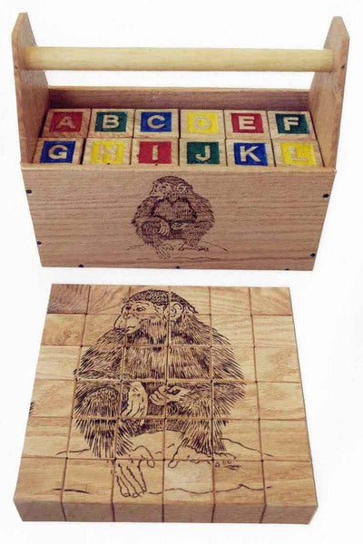 Custom wooden ABC blocks & box - TreeToBox