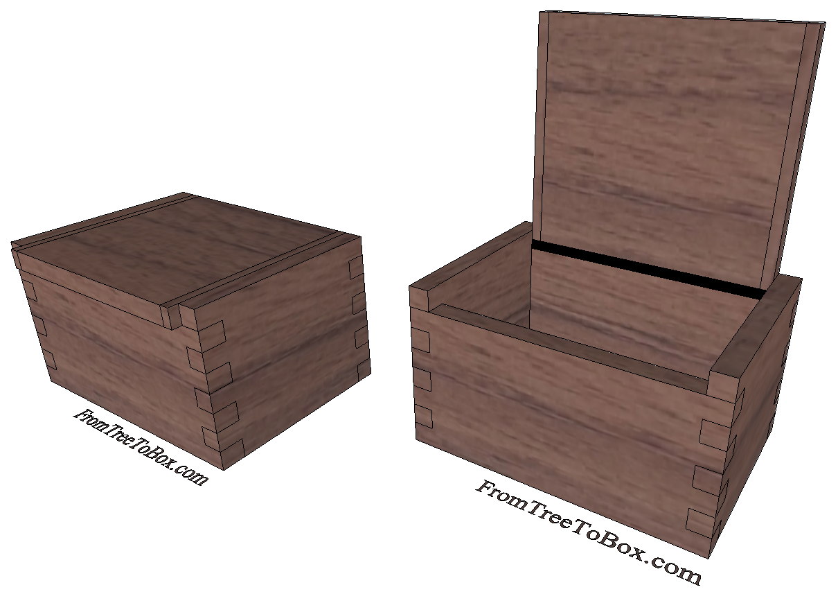 Wooden Salt Cellar box - TreeToBox